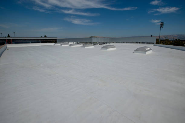 Best Storm Damage Roof Repair  in Katy, TX