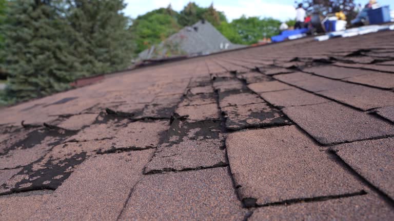 Best Sheet Metal Roofing  in Katy, TX