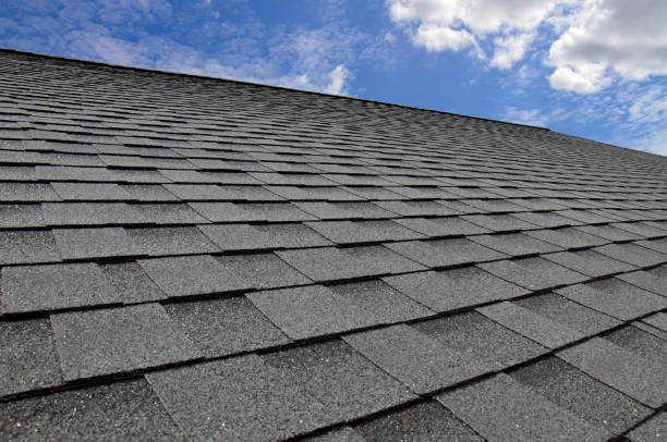 Best Roof Moss and Algae Removal  in Katy, TX